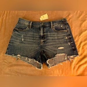 NWT Aerie Distressed Daydream Denim Short, size Medium